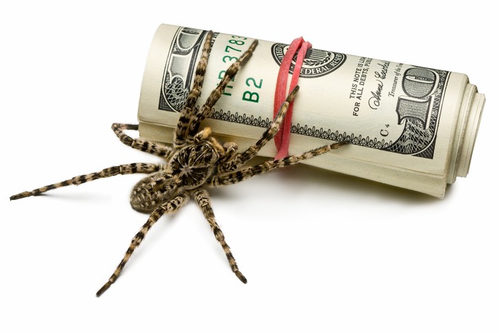 Money Spider
