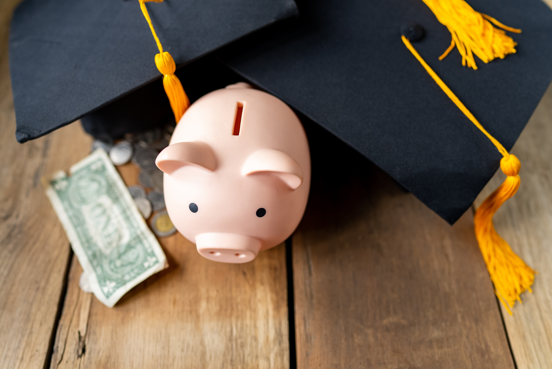 Student Loan Repayment