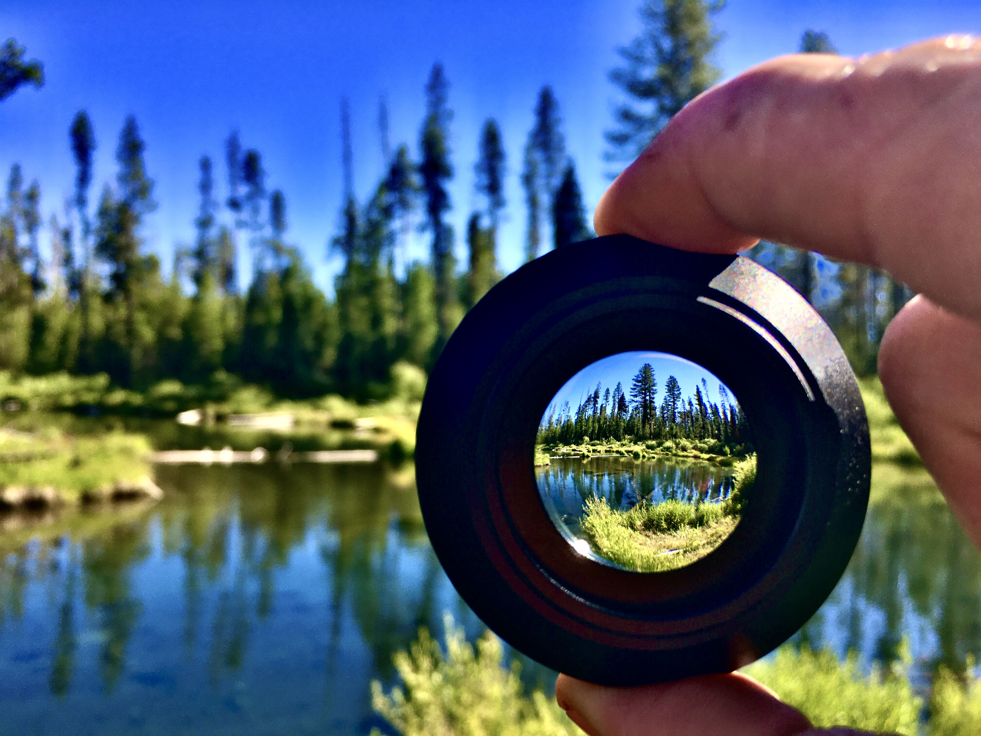 Looking through a lens