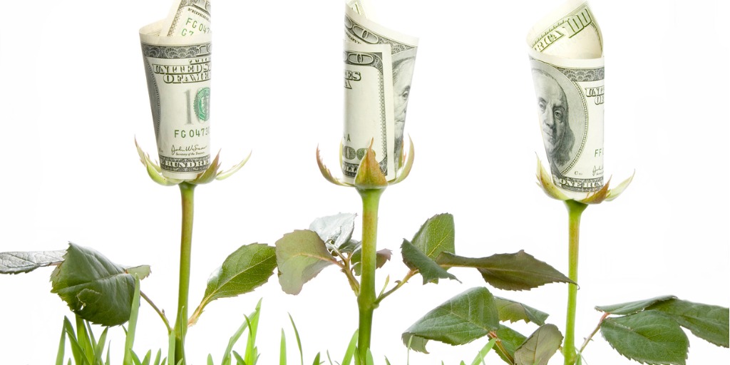 flowers made from $100 bills blooming from the grass